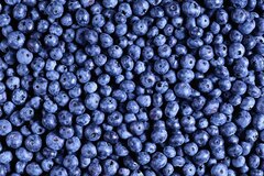 Blueberry