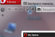 Netbook transparent skin