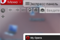 Netbook transparent skin
