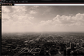 Phoenix's Pure City