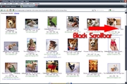 Opera 10 Black ScrollBar - by LOSER