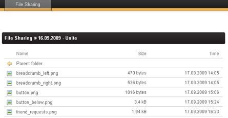 File Sharing