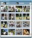 Picasa reader!