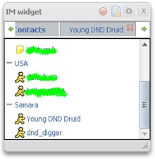 IM widget