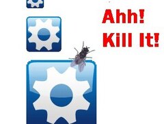 A Fly!