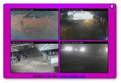 Martells Tiki Bar Webcams
