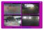 Martells Tiki Bar Webcams