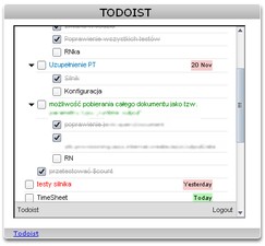 TODOIST
