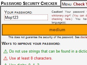 Password Security Checker