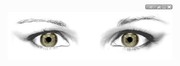 Animated Eyes
