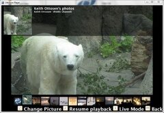 LifeShow Player