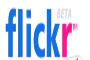 Flickr Photos