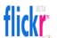 Flickr Photos
