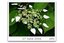 UBC Botanical Garden: Picture of the Day
