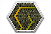 Honeycomb Snake