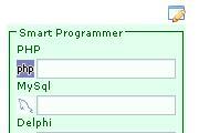 Smart Programmer's Widget