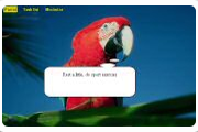 Parrot reminder