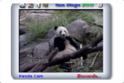 San Diego ZOO