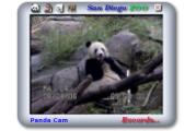 San Diego ZOO