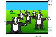 Badger badger badger