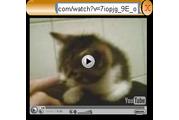 VideoWatcher