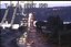 Tacoma Narrows Bridge Project Cams