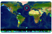 EarthQuakes Map