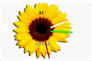 Analog Clock