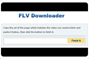 FLV Downloader