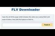 FLV Downloader