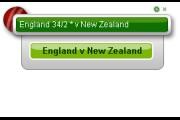 Cricket Score Board