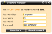 Password Manager