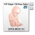 Baby and Pregnancy Countdown Ticker