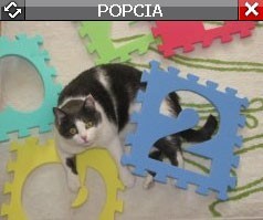 Popcia