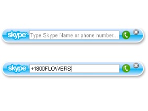 Skype Widget