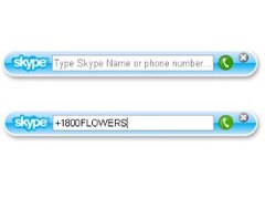 Skype Widget