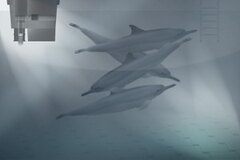 SimAquarium