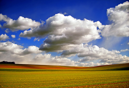 Field and sky scenery