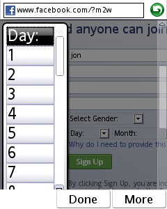 The sample form page with a select menu zoomed in and expended