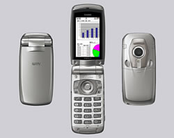 Casio W31CA (Silver)
